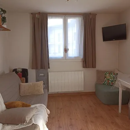 Cosy 4 Couchages -pont Du Verdon- Centre Station * Allos